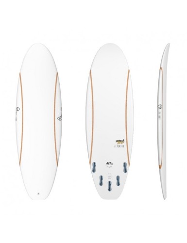 A19---alterego surfboards---HELLCAT 5'8.JPG
